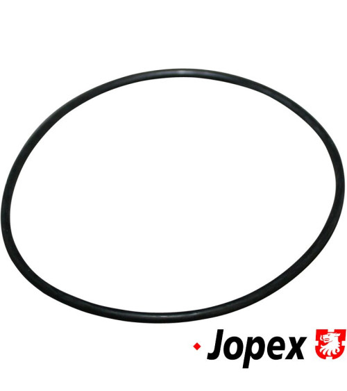 O-ring do mechanizmu różnicowego