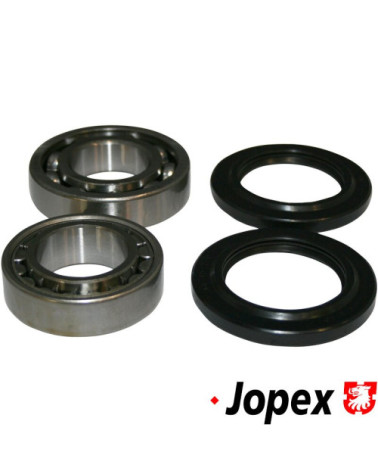 Zestaw łożysk koła